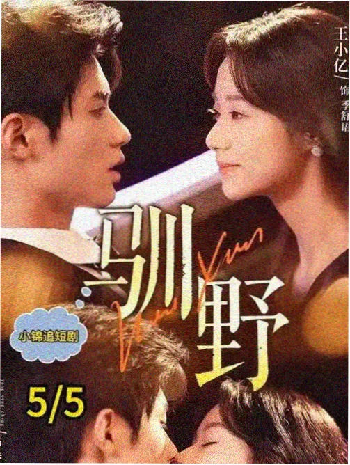 四十平 免费观看电视剧全集